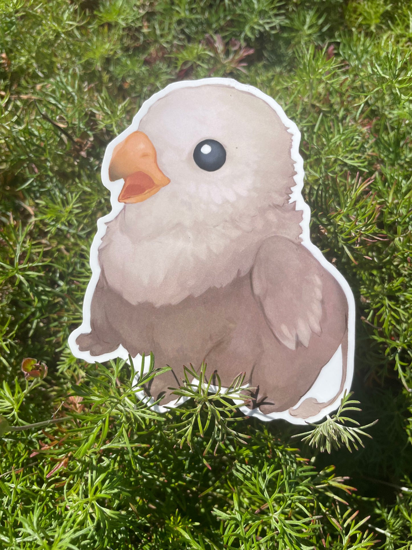 Griffon Plush Sticker